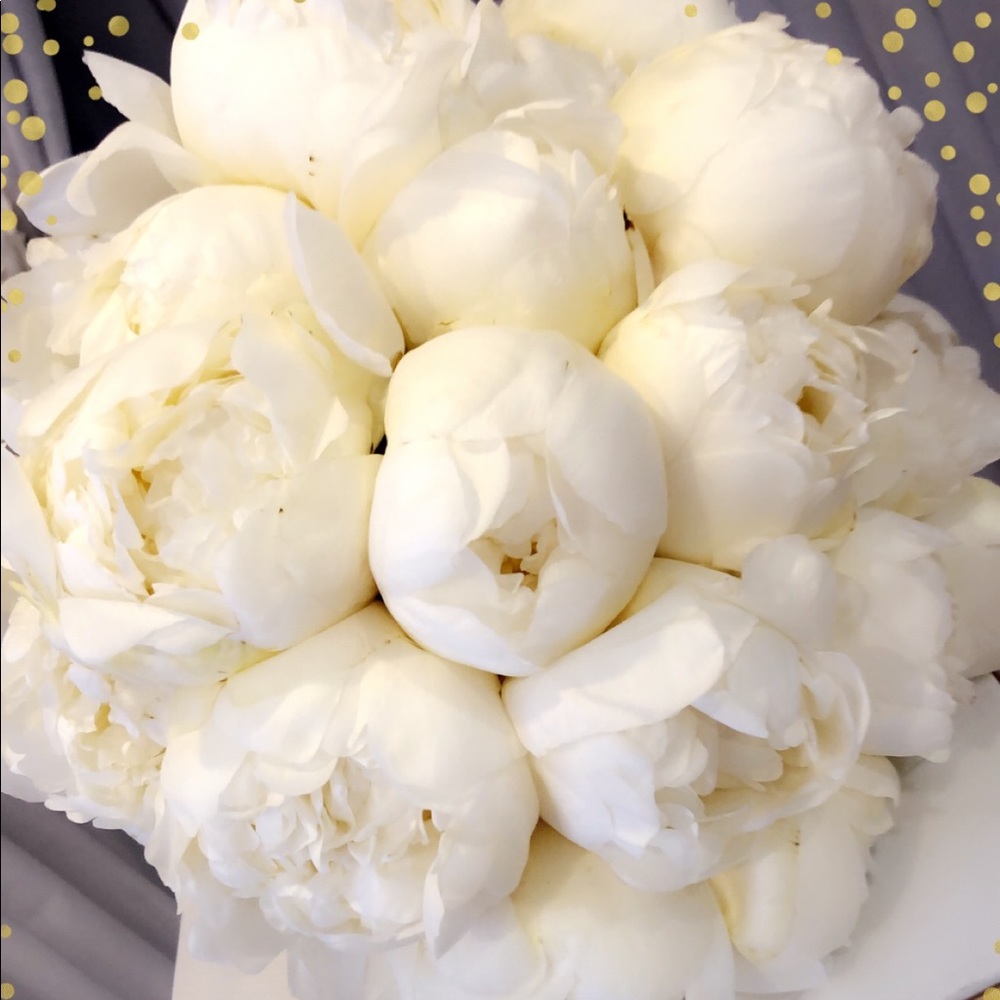 Meet your Posher, Ann